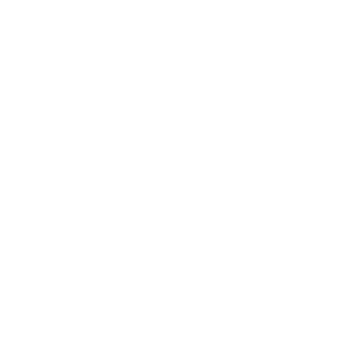 salomon